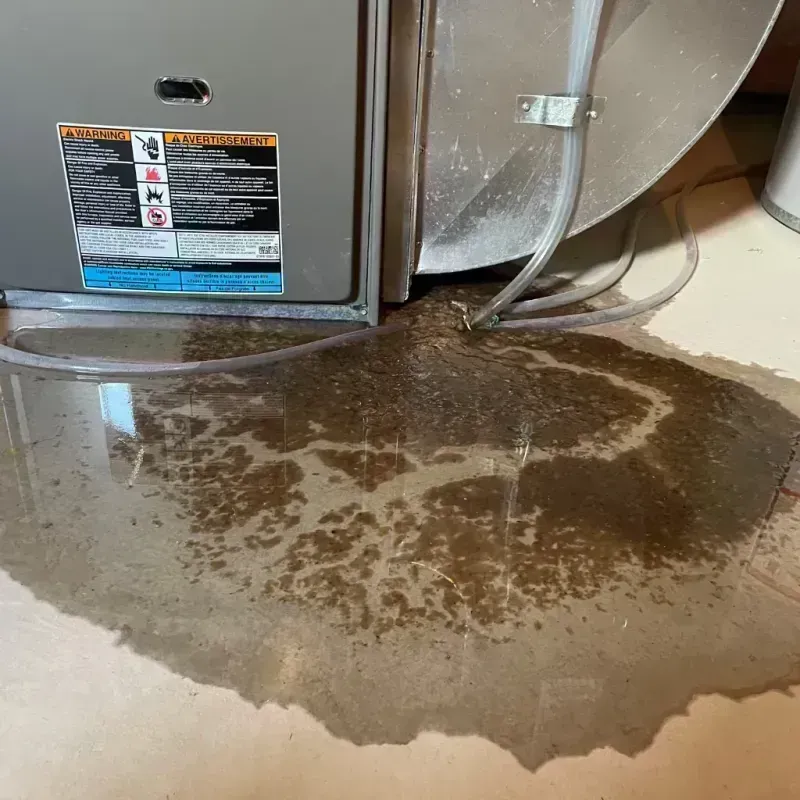 Appliance Leak Cleanup in Winchester, MO